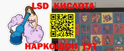 мяу мяу мука Краснознаменск
